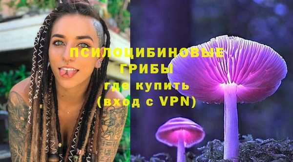 ECSTASY Семилуки