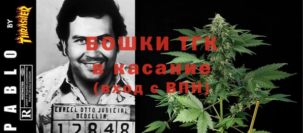 сатива Зеленокумск