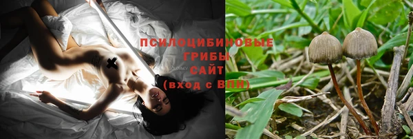 ECSTASY Семилуки