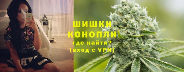 сатива Зеленокумск
